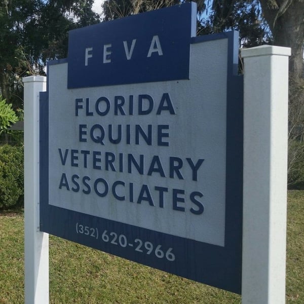 Florida Equine Veterinary Associates in Ocala